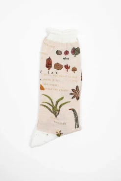 Antipast Am-773 Botanical Xv Socks Ivory| Tights & Socks