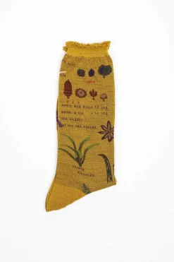 Antipast Am-773 Botanical Xv Socks Mustard| Tights & Socks
