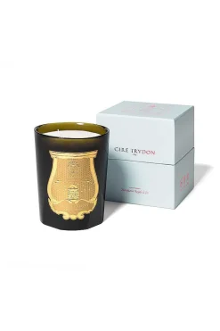 Cire Trudon Ernesto 800G Candle| Candles