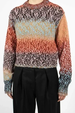 Acne Studios Gradient Pixel Jumper| Knitwear