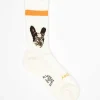 Rostersox Rs-278 Dog Socks Orange| Tights & Socks