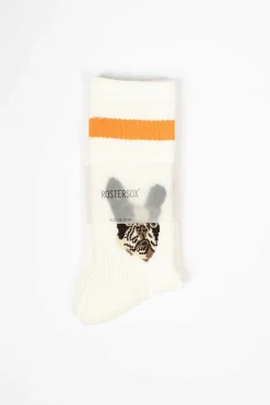 Rostersox Rs-278 Dog Socks Orange| Tights & Socks